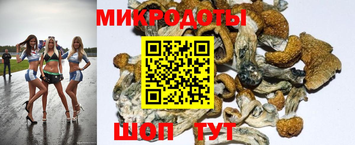 Ливны  Галлюциногенные грибы Magic Shrooms  Вход с VPN  Галлюциногенные грибы Cubensis 